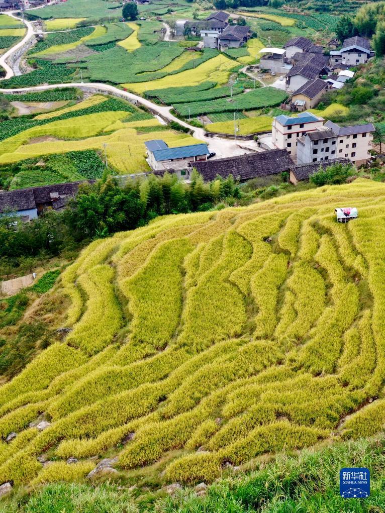 新莆京在线威尼斯